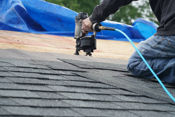 Professional Roofing Contractor in Mount Vernon, AL