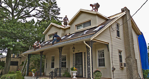 Best Emergency Roof Repair  in Mount Vernon, AL